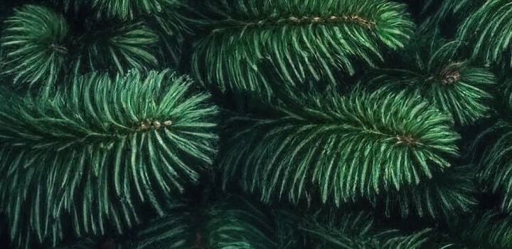 Technologie En Vedette,  Eco-drive,  L'avenir &eacute;clair&eacute; !